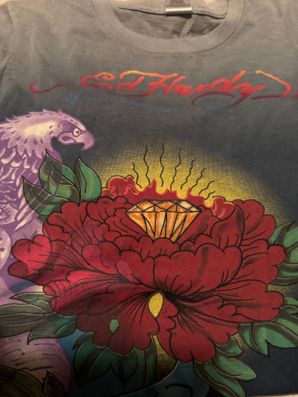Ed Hardy Gray Dress with Red Floral and Purple Accents